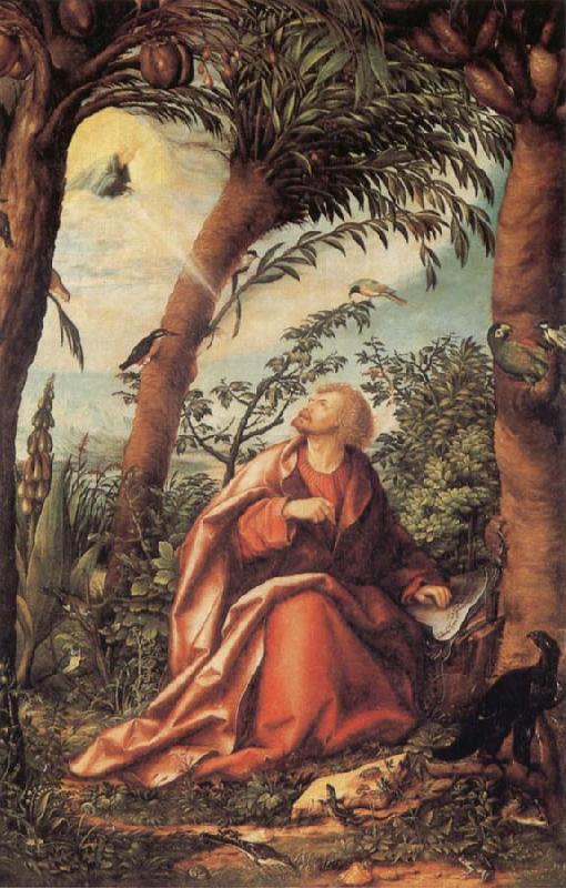 BURGKMAIR, Hans John the Evangelist on Patmos oil painting image